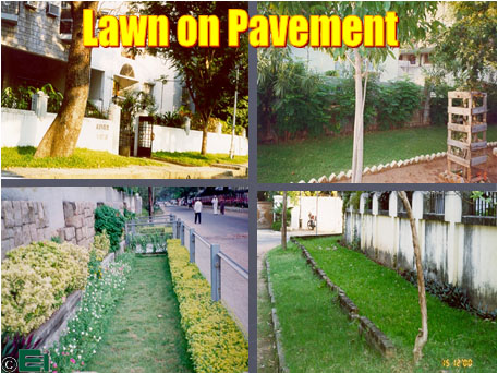 lawn on pavement