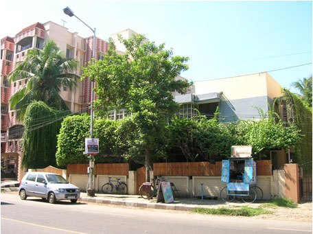 GREEN YOUR COMPOUND WALL