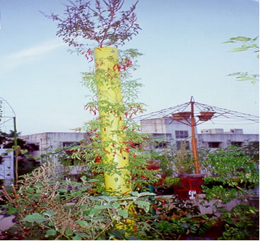 TERRACE PIPE HORTICULTURE